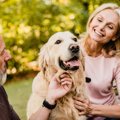 犬の『平均寿命』が4…