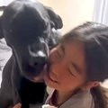 女の子と２頭の超大…