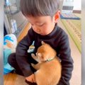 小さな男の子が赤ち…