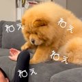 お父さんがゴロゴロ…