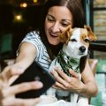 犬をスマホで撮影す…