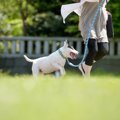 愛犬のケアは季節に…