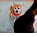 満員です！混雑する…