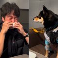 『犬の絵本』を読ん…