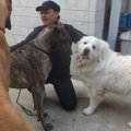 【この違いってナニ…