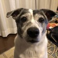 家に豊かさを運んで…