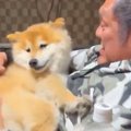 『おとんの腹に乗せ…