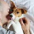 犬は「飼い主の休日…