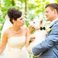 愛犬が同伴できる結…