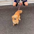 入院中、面会禁止の…