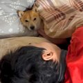 『ガンを患っている…