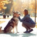 犬の外飼いは寿命が…