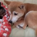 愛が重すぎる？一喜…