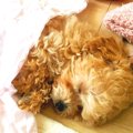 なぜ身体の調子が良…