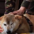「最期まで一緒に」…