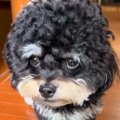 ママをお出迎えして…