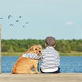 犬を飼っていないと…