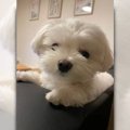 健やかなるときも病…