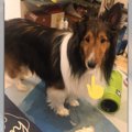 現行犯確保？！動か…