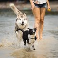 運動をたくさんしな…