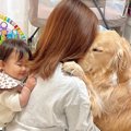 お留守番を察した大…