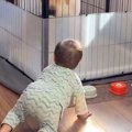 赤ちゃんが『会話ボ…