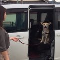 「病院には入らない…
