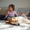 あるある♡犬が見せる…