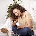犬が『何を要求して…