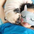 愛犬が夢に出てくる…