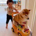 赤ちゃんと車遊びを…