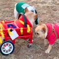 病気で車椅子を余儀…