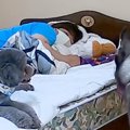 頭痛と腰痛が酷く、…