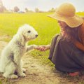 愛犬をもっと幸せに…