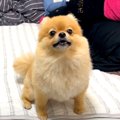 何かを必死に訴える…