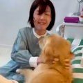 大好きなお姉さんと1…