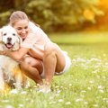 犬を飼っていて自分…