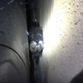 闇夜にまぎれ、隙間…