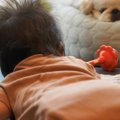 生まれたばかりの赤…