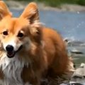 たのしい～！豪快に…