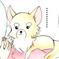 かわうそちわわ。（1…