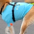 雨が降り出したので…