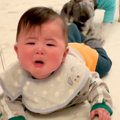 キッチンに侵入しよ…