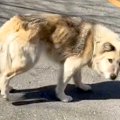 泥水をすすり、ガリ…