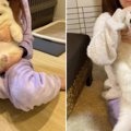 成長したというより…