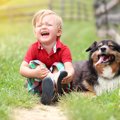 犬は飼い主の体調不…