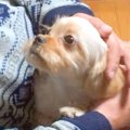 お父さんが亡くなる…