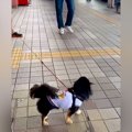 お兄ちゃん帰省のた…