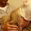 愛犬のためにソファ…