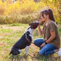 愛犬に『おすわり』…